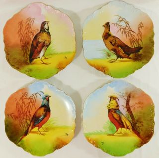 Set 4 Antique Limoges France Hand Painted Signed Game Bird Wall Cabinet Plates