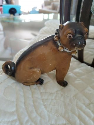 Antique Conta Boheme Poreclain Pug Dog.  4 Inch Figurine.  German With Bells.