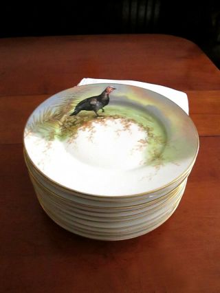 Antique Limoges Hand - Painted Game Bird Dinner Plates C1895