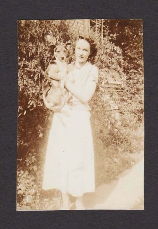 Cute Little Dog Posing W/pretty Young Lady Old/vintage Photo Snapshot - H226