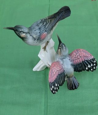 1940 Karl Ens Volkstedt Germany Double Wallcreepers Porcelain Bird Figurine
