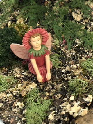 Retired Cicely Mary Barker Double Daisy Flower Figurine Fairy Ornament (broken)
