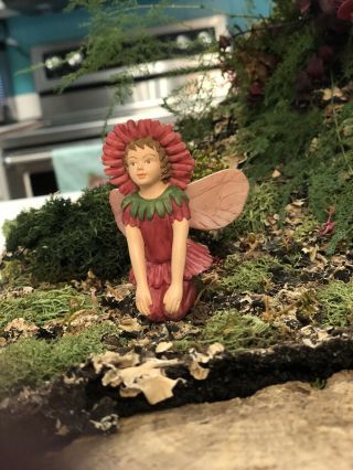 RETIRED Cicely Mary Barker DOUBLE DAISY Flower Figurine Fairy Ornament (broken) 3