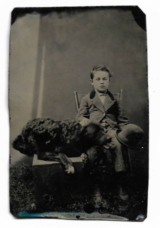 Young Boy With His Beloved Dog Antique Tintype Photo Wonderful Photo