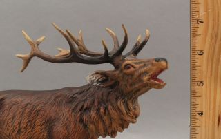 Large Miniature Antique Painted Austrian Bronze Hunting Bull Elk Bugling,  NR 2
