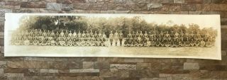 1918 Wwi World War I Camp Joseph Johnston Fl Yard Long Photo Remount Soldiers