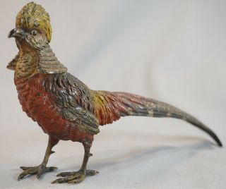 Antique Austrian Cold Painted Bronze Pheasant Unsigned Bergmann Quality