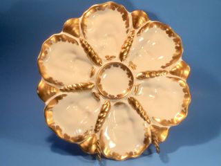 Antique Oyster Plate White And Gold Oyster Plate Germany C.  1800’s