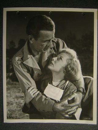 1953 Humphrey Bogart Battle Circus Ww2 Movie Photo 440s