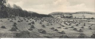 Old Vintage Double Fold Panoramic Postcard Pine Plains Ny Briarcliff Farms Co.