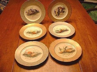 Rare Set Of 6 Ott & Brewer Hand Painted Game Bird Plates