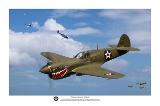 Wwii Ww2 Usaaf U.  S Air Force P - 40 Warhawk Aviation Art Photo Print - 12 " X 18 "