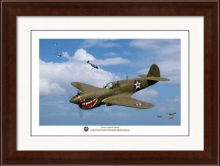 WWII WW2 USAAF U.  S Air Force P - 40 Warhawk Aviation Art Photo Print - 12 