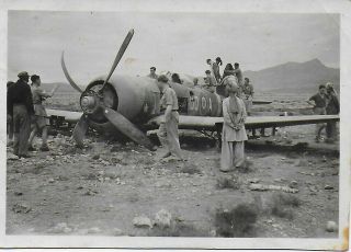 Vintage Raf Ww2 Photo Crashed Tempest Mkii Pr716 Aircraft 1947