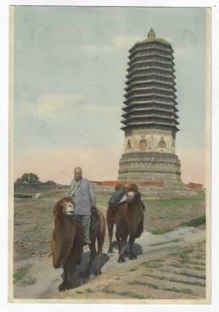 Hand - Colored Photo Tianning Temple Pagoda Peking China Kang - Sing Chaio 7x10