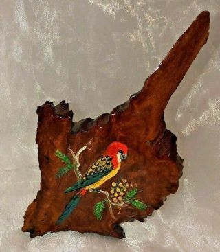 Vintage Wood Carved Australia Bird Wildlife Hand Painted Deceased Estate