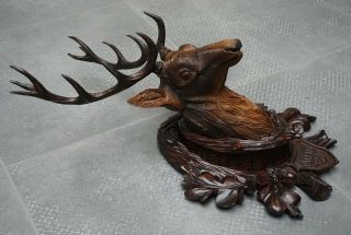 Antique Black Forest Very Fine Wood Carved Stag Deer Head