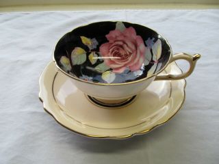 Vintage Paragon Double Warrant Fine Bone China Cup & Saucer Ivory/black W/roses