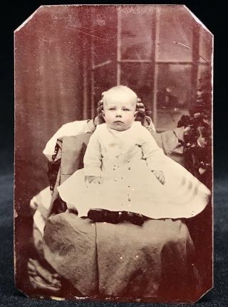 Rare 1/6 Plate Tintype - Hidden Mother & Cute Baby - " Head Clamp Hands " Hahaha