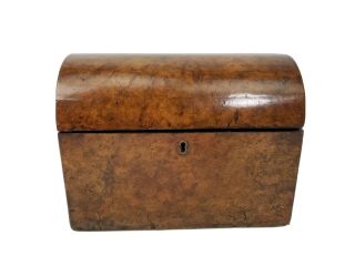 Antique Walnut Veneer Dome Top Tea Cabby Box Chest