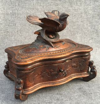 Antique black forest jewelry box made of wood early 1900 ' s Germany bird 2