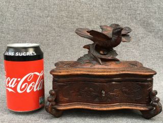 Antique black forest jewelry box made of wood early 1900 ' s Germany bird 4