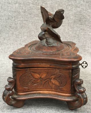 Antique black forest jewelry box made of wood early 1900 ' s Germany bird 6