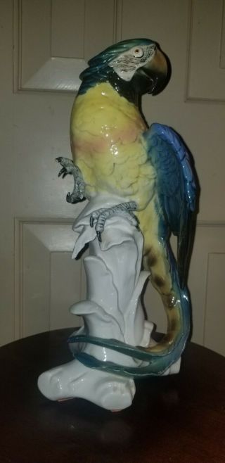 Vintage Karl Ens Porcelain Large Parrot Macaw Bird Figurine Approx.  12.  5”