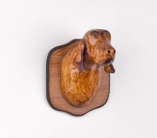A Carved Wooden Folk Art Dog Head Bust Wall Mounted Coat Hanger