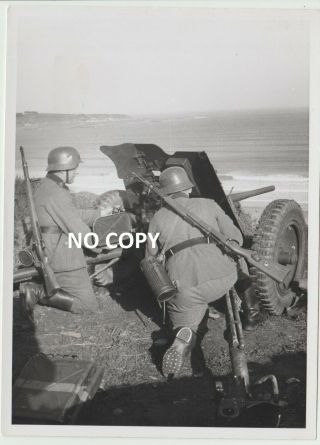 Ww2 German Press Photo Wehrmacht Anti Tank Gun Pak 36 France Normandy