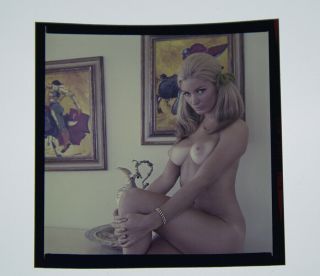 Bunny Yeager 1960s Color Camera Transparency Photograph Nude Pretty Blonde Model 2