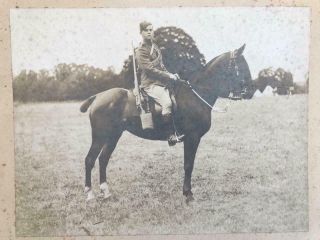 Early 1900s Boer War Pre Ww1 Military Photograph Cavalry Soldier