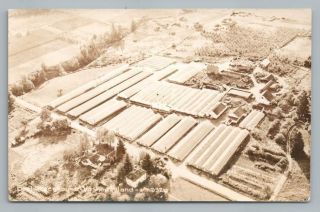 Beal Greenhouse Vashon Island Washington Rppc Vintage Aerial Photo 1930s