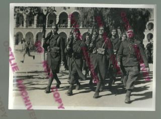 Ww2 1943 German Army Press Photo Soldiers Marching Tunis Africa Volunteers