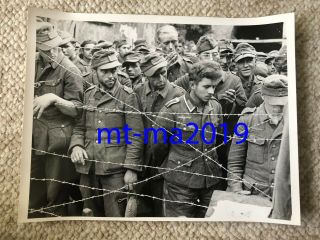 Ww2 Press Photograph - German Prisoners Of War Behind Barbed Wire - Combat Tunic