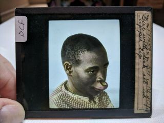 Colored Glass Magic Lantern Slide Dcf African Girl With Disk In Upper Lip Rare