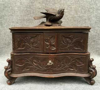 Large antique black forest jewelry box made of wood early 1900 ' s Germany bird 2