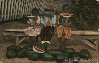 Black A Watermelon Feast Teich Postcard Vintage Post Card