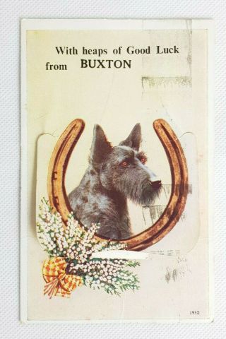 Vintage Postcard Valentine 