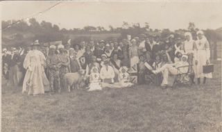 Old Vintage Photo People Fancy Dress Nurse Uniform Pageant Sheep Oc1