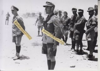 Ww2 Press Photograph Foto Photo General Rommel Afrika Korps 1942 Top