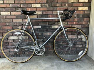 Vintage Trek 300 Elance Touring Road Bicycle 12 Speed Special Siver Dust Grey