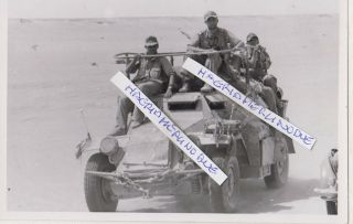 Ww2 Press Photograph Foto Photo Fallschirmjager Brigade Ramke Tunisia 4 Top