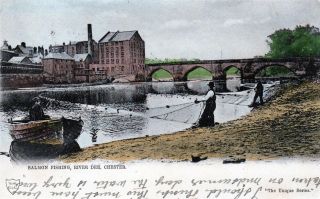 Salmon Fishing River Dee Chester Old Postcard 1904 Unique Series