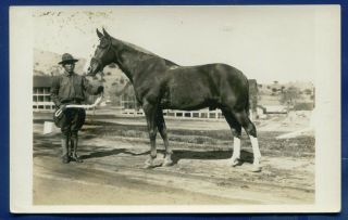 World War 1 Ww1 Us Army Calvary Horse With Handler Photo Postcard By Lt Undritz