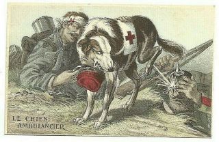 Vintage Ww1 - Era Postcard; French Army; Red Cross Dog Urinates On German Soldier
