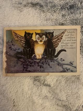 Vintage Whitney Made Halloween Postcard Black Cats,  Owl - - Embossed U.  S.  A.