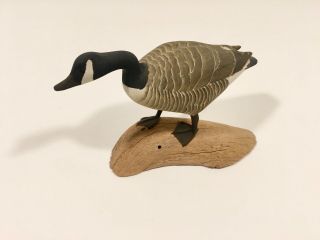 Rare Hand Carved Miniature Canada Goose By Harold Gibbs Signed & Dated 1966