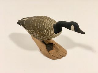 Rare Hand Carved Miniature Canada Goose By Harold Gibbs Signed & Dated 1966 2