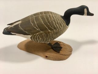 Rare Hand Carved Miniature Canada Goose By Harold Gibbs Signed & Dated 1966 5